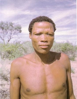 San (bush) !Kun Khoi-San Kalahari, S Africa